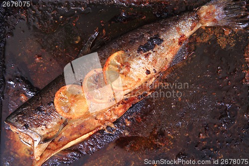 Image of detail of baked salmon fish 