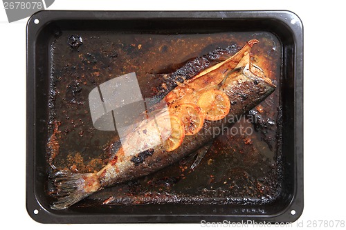 Image of baked salmon fish
