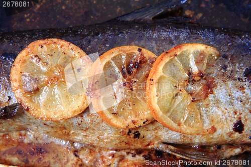 Image of detail of baked salmon fish 