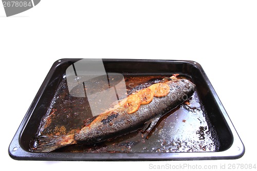 Image of baked salmon fish