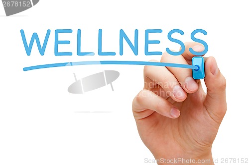 Image of Wellness Blue Marker