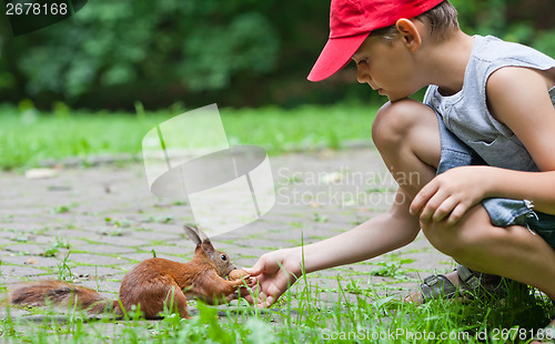 Image of Little boy and squirrel