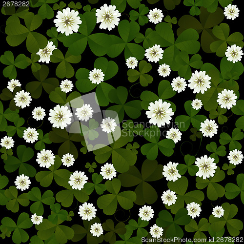 Image of Clover on black background