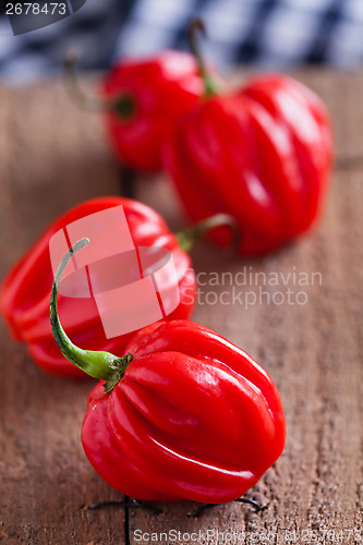 Image of Red chili peppers