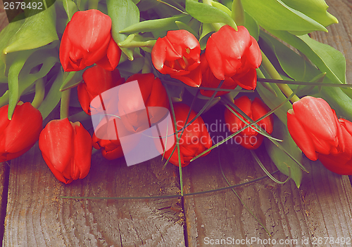 Image of Red Tulips