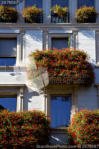 Image of old wall and flower terrace in the   centre   of city lugano Swi