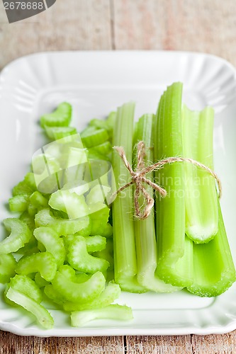 Image of bundle of fresh green celery stems in plate 