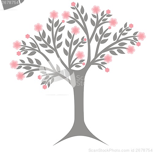 Image of blossoms tree