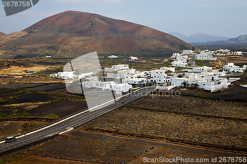 Image of city cultivation  viticulture 