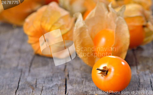 Image of Physalis fruit