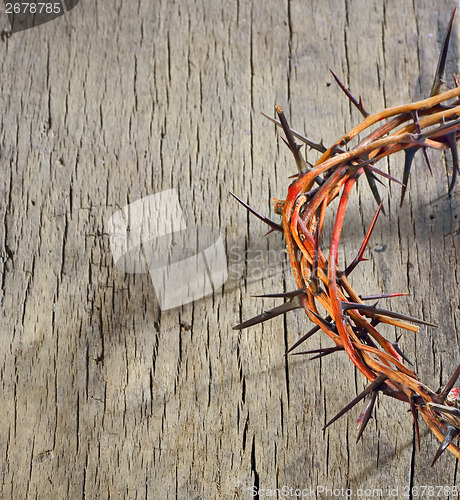 Image of Crown of Thorns and drops of blood