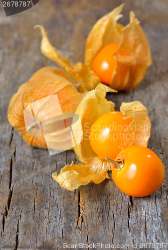 Image of Physalis fruit