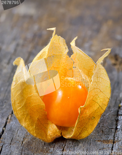 Image of Physalis fruit