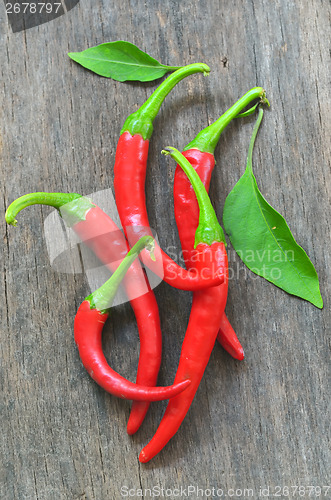 Image of Red chili peppers 