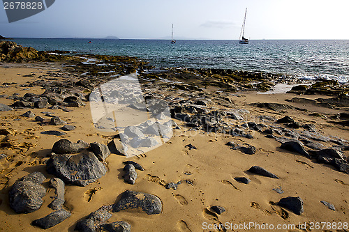 Image of coastline lanzarote  in spain musk   