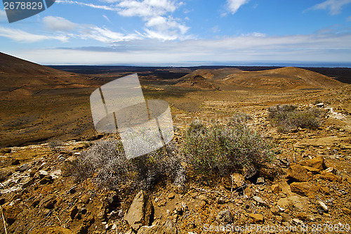 Image of flower   hill and summer  lanzarote spain plant 