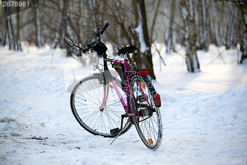 Image of Bike standing in the woods