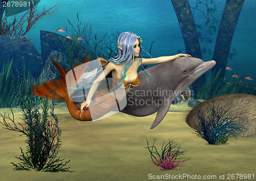 Image of Mermaid and Dolphin