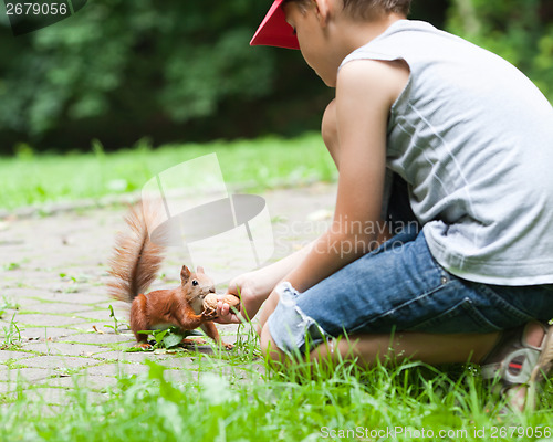 Image of Little boy and squirrel