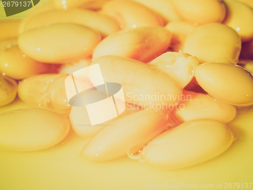 Image of Retro look Beans salad