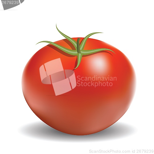 Image of red tomato