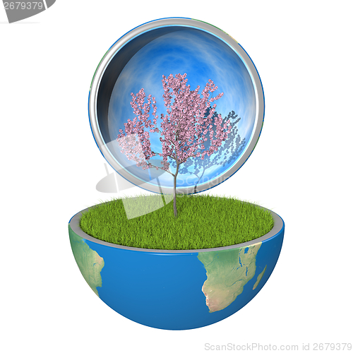 Image of Tree inside planet