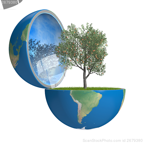 Image of Fruit tree inside planet