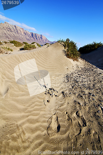 Image of abstract yellow dune beach   mountain    lanzarote spain 