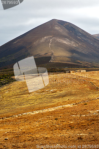 Image of cultivation home viticulture  winery lanzarote  