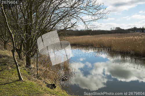 Image of tree lined lake