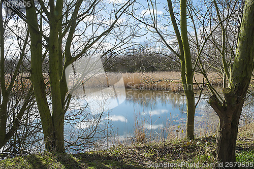 Image of tree lined lake