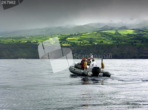 Image of Boat observing dolphins