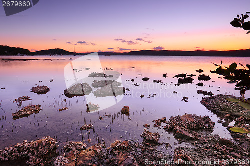 Image of Tidal shallows at sunset sundown