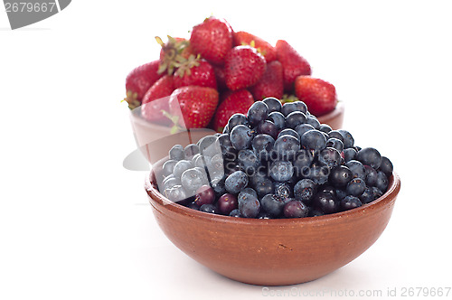Image of antioxidants