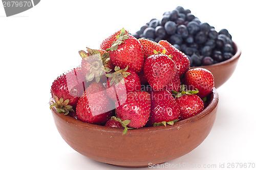 Image of antioxidants