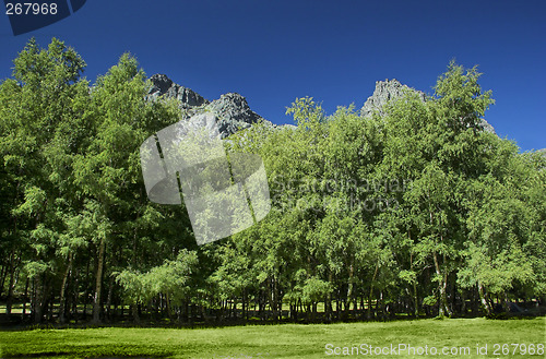 Image of Mountain landscape