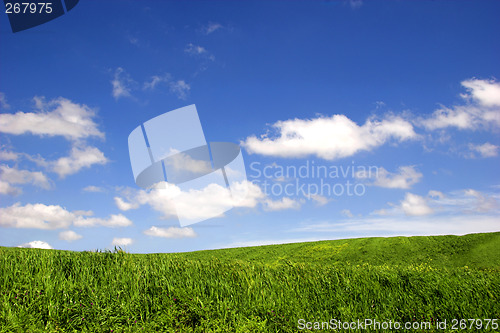 Image of Green field landscape