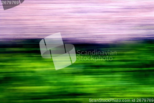 Image of  green pink wall