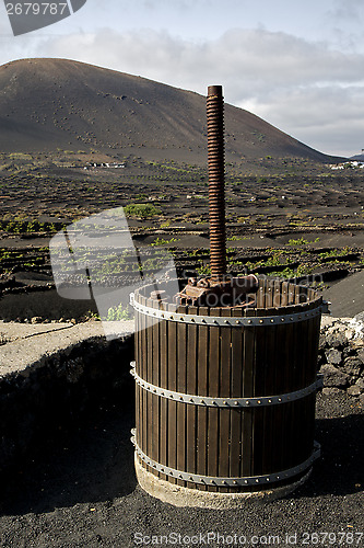 Image of press viticulture  winery lanzarote spain la geria vine  