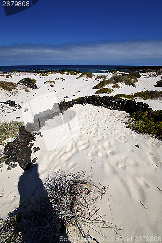 Image of   isle white  beach  plant rocks lanzarote 