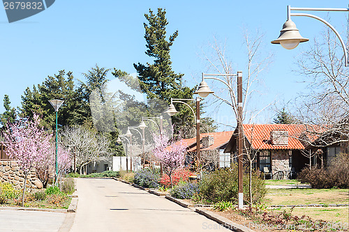 Image of Springtime alley in the country area