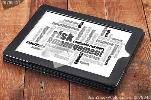 Image of risk management word cloud 