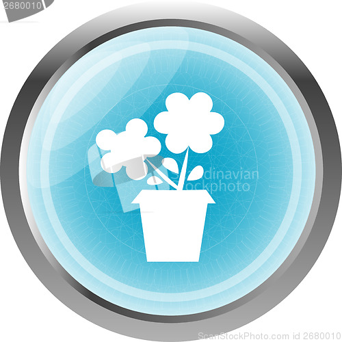 Image of Flower web buttons for website or app