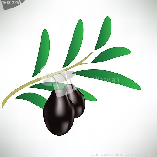 Image of black olives