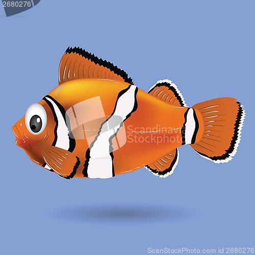 Image of clownfish