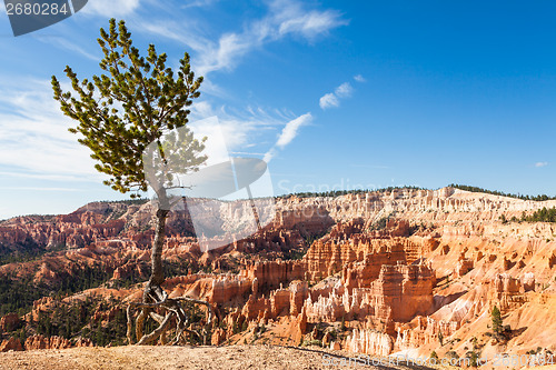 Image of Bryce Canyon