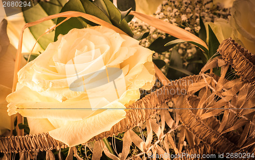 Image of White rose