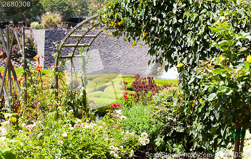 Image of Garden Maze