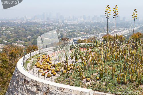 Image of Cactus Garden