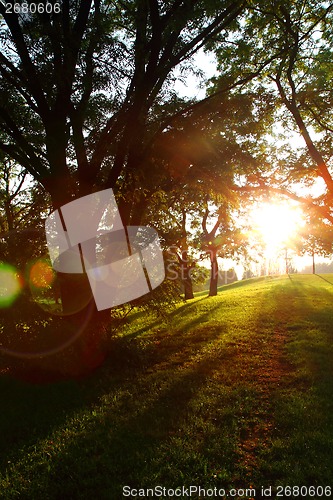 Image of sun in the green spring park 